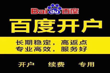 SEM推广公司案例：打造高效营销体系